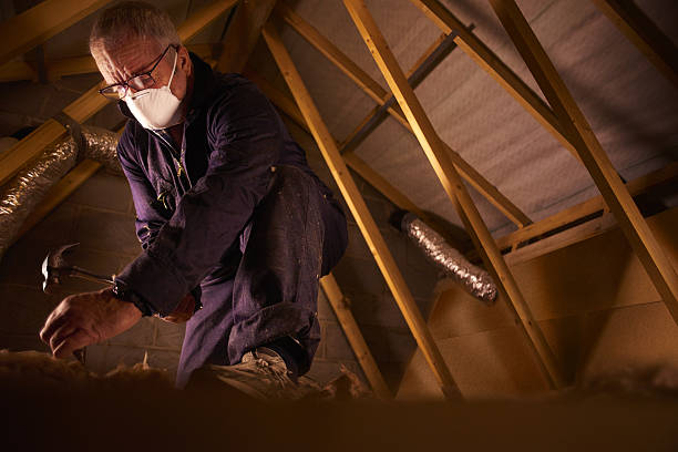 Best DIY Insulation Kits and Guidance in Due West, SC