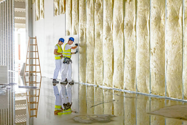 Best Specialized Insulation Services in Due West, SC